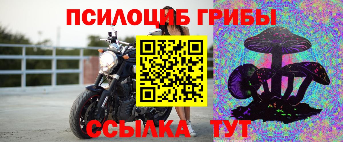 наркошоп  Вход с VPN  Тольятти  Псилоцибиновые грибы Psilocybine cubensis 