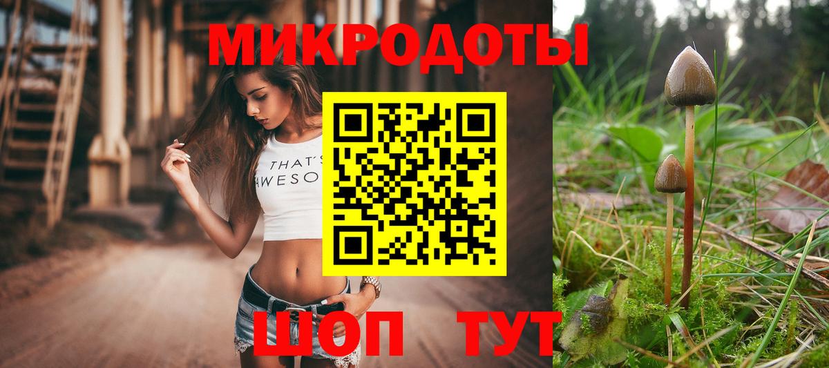 Галлюциногенные грибы Psilocybine cubensis Тольятти