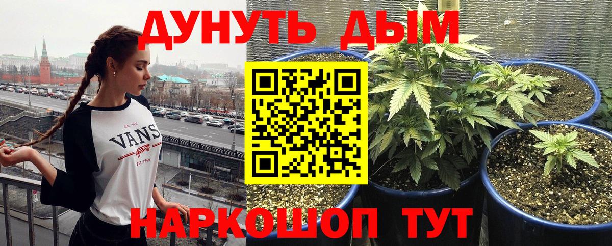 Бошки марихуана марихуана  МАРИХУАНА OG Kush  Тольятти  Вход с VPN  Каннабис OG Kush  Канабис Bruce Banner 