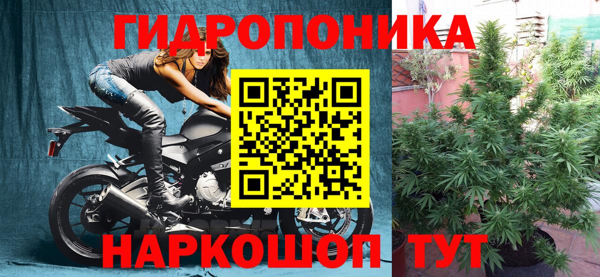 Бошки Шишки Ganja Тольятти